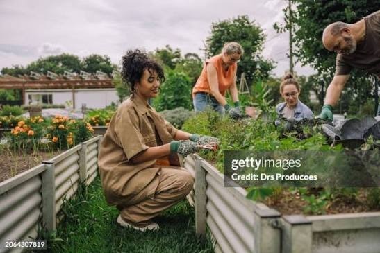 Team planting and tending raised beds