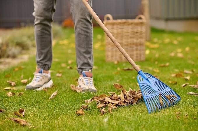 Grounds Maintenance