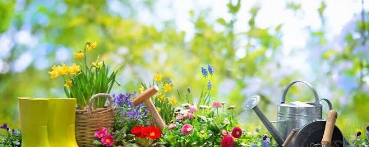 Spring flowers, boots and watering can